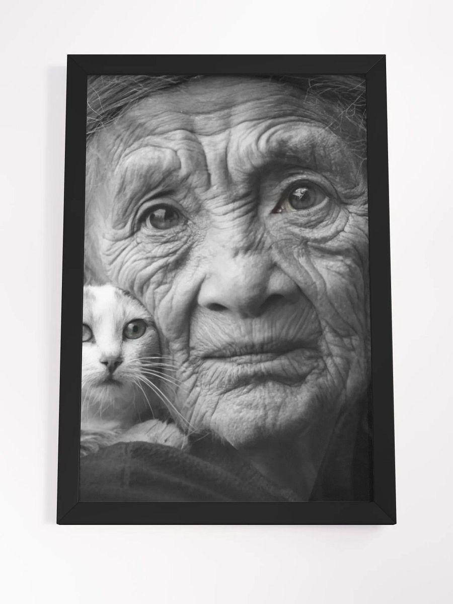 Timeless Grace: Wrinkles of Wisdom and the Warmth of Feline Companionship product image (16)