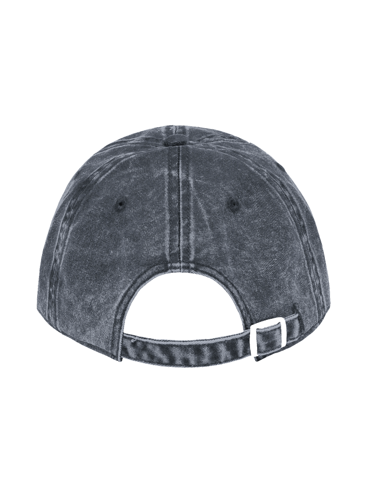 Raccoon Dad Hat product image (5)