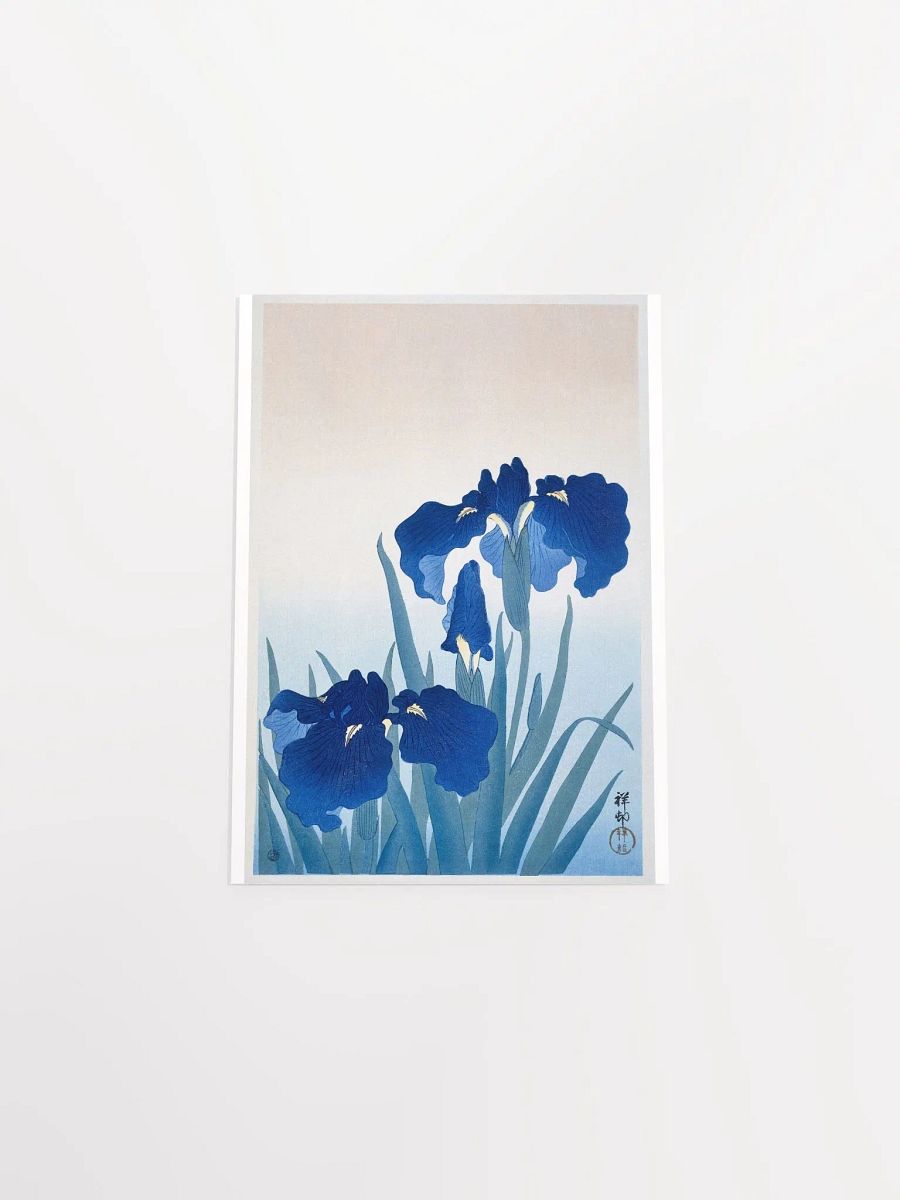 Iris Flowers by Ohara Koson product image (4)