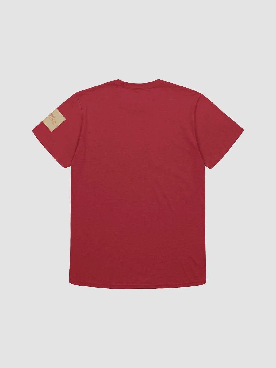 American Aboriginal female in tribal garb unisex T-Shirt product image (2)