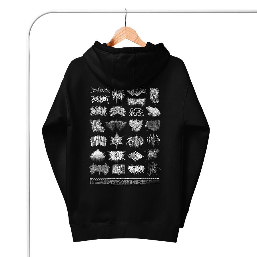 DML Season 01 Tour Hoodie product image (6)