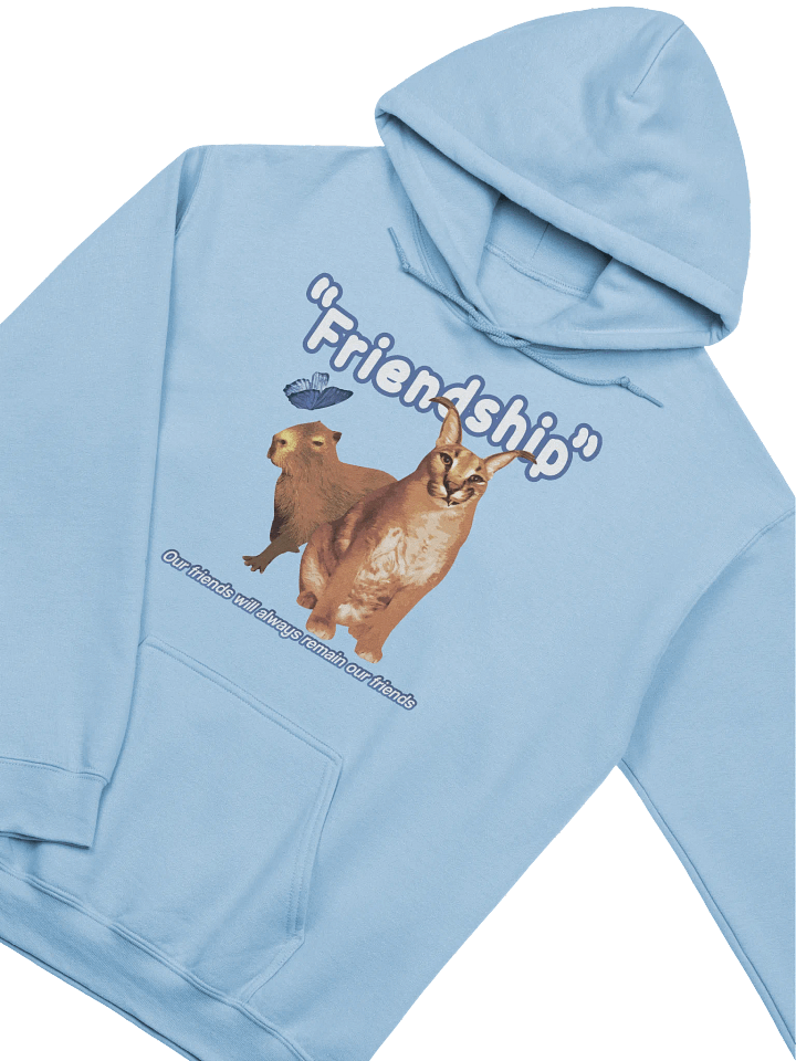 "Friendship" BIG FLOPPA x CAPYBARA HOODIE product image (2)