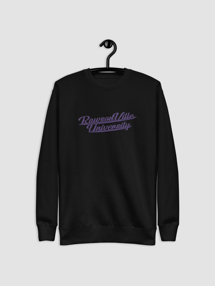 RVU: Embroidered Sweatshirt product image (3)