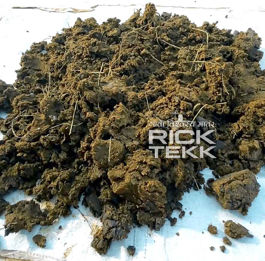 Desi Gomata Gobar Dried Kanda product image (2)