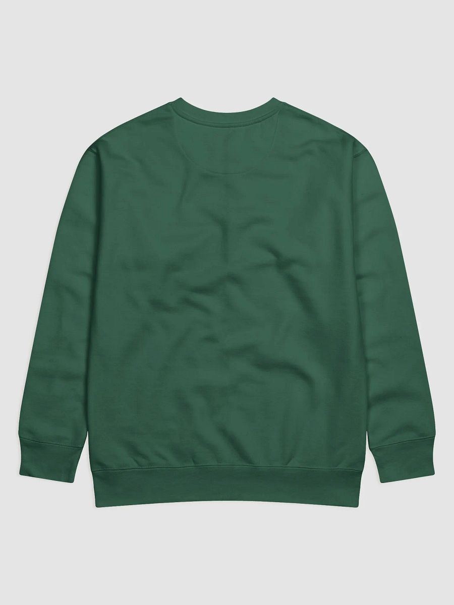 Hooded Pivot Sweatshirt product image (2)