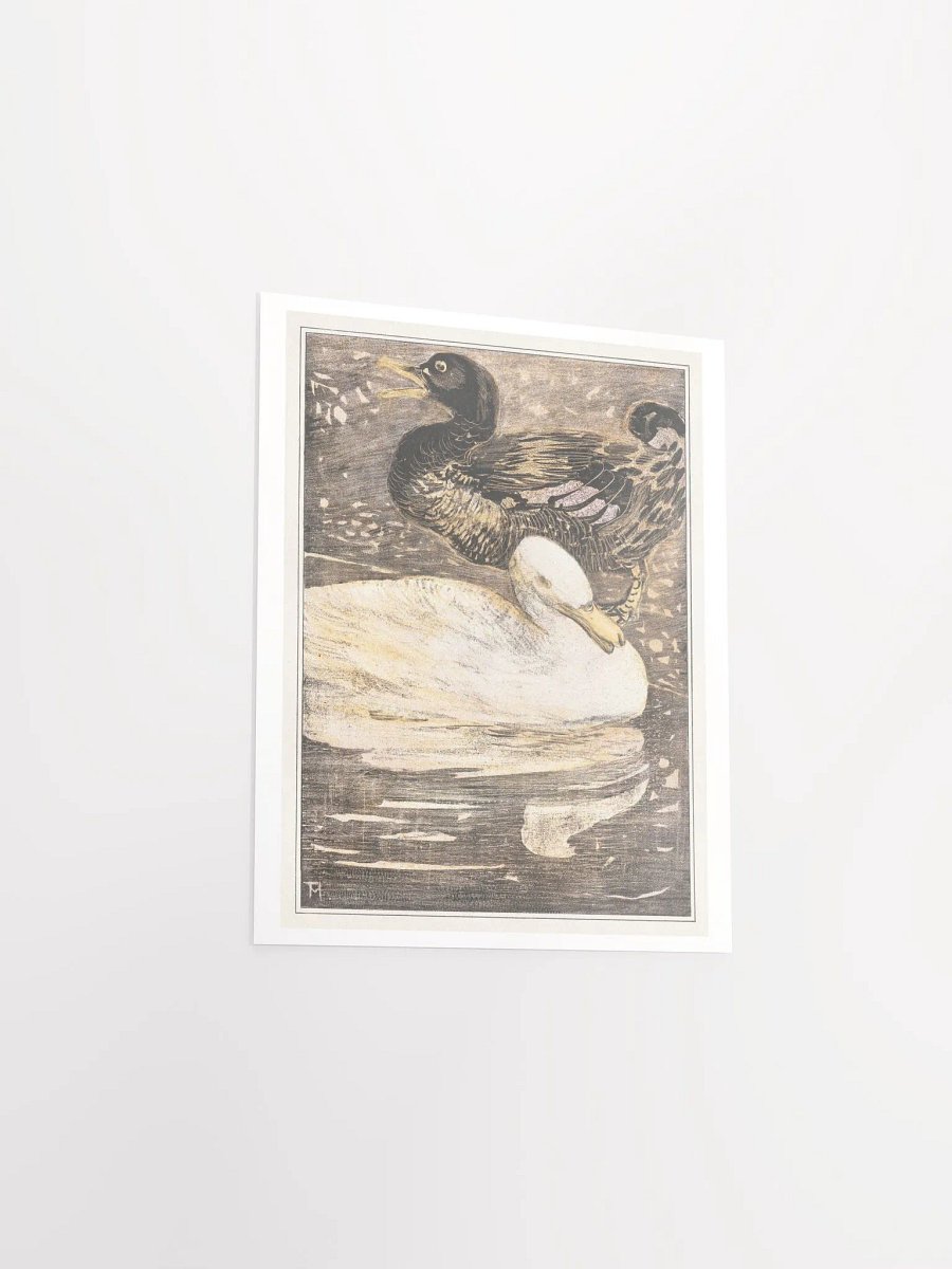Two Ducks -Twee eenden product image (19)