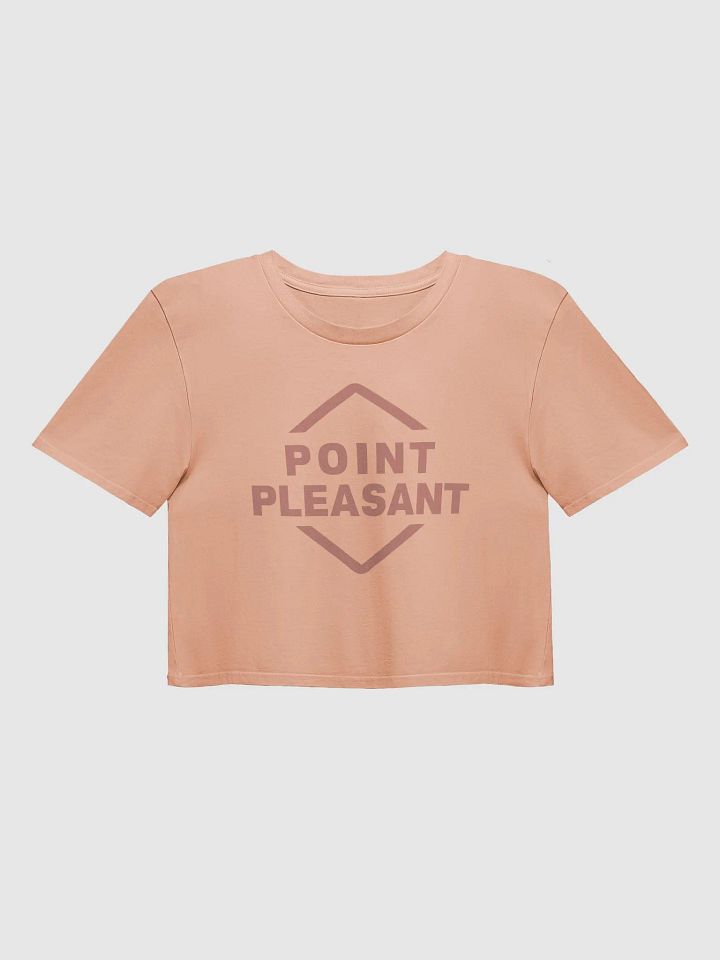 Lost Records: Bloom & Rage Point Pleasant Crop Top product image (6)