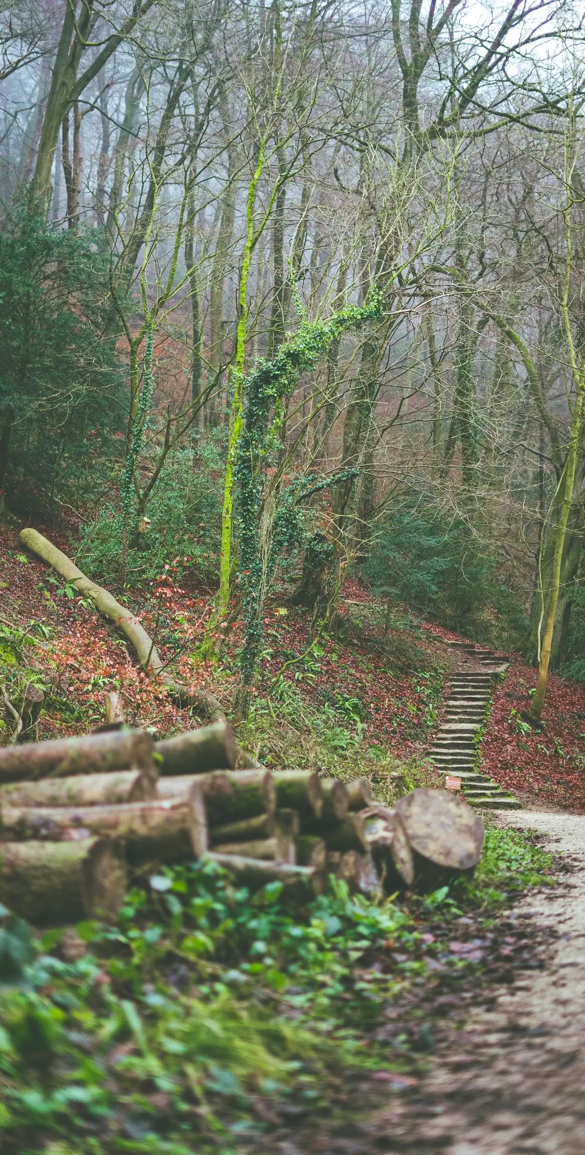 As the weather here in the UK is getting very cosy and foggy, i thoughht id dig out some photos from a few years ago when me and my fiance went to Buxton for a weekend away. We stopped off at Ilam and the cibes were immaculate 😍 @National Trust  Have you been here before?  #ilam #peakdistrict #nationaltrust #buxton #photography 