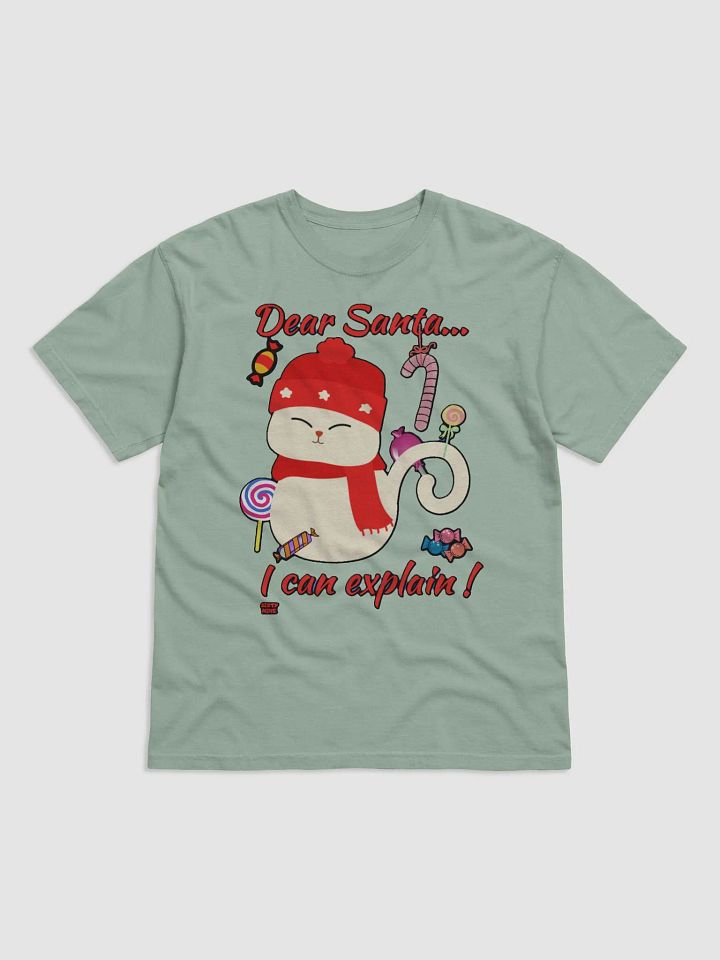 DEAR SANTA, I CAN EXPLAIN! product image (3)