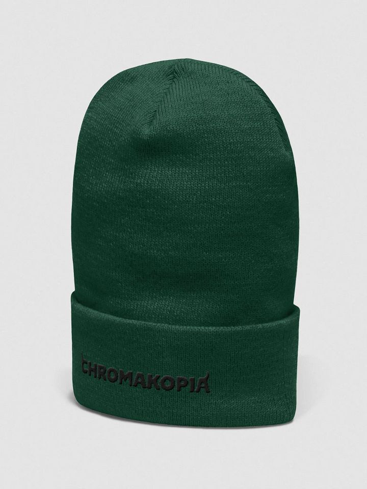 Tyler, The Creator CHROMAKOPIA Hat product image (2)