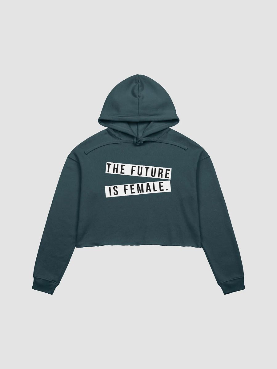 NEWSFLASH: THE FUTURE IS FEMALE CROPPED HOODIE, product image (6)