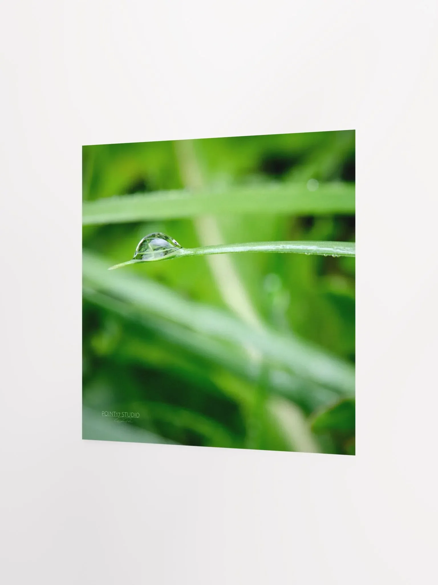 Dew Gems #10 - Print product image (5)