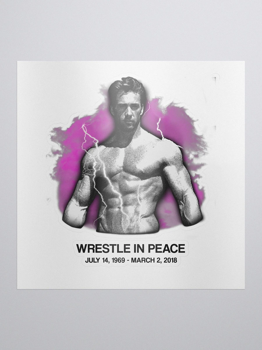 WRESTLE IN PEACE (STICKER) product image (1)