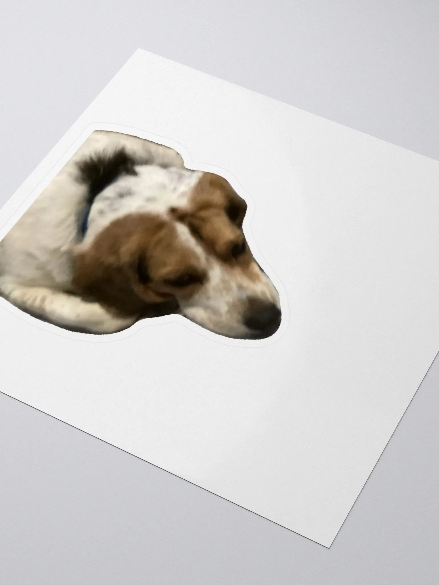 Spot Sticker product image (3)