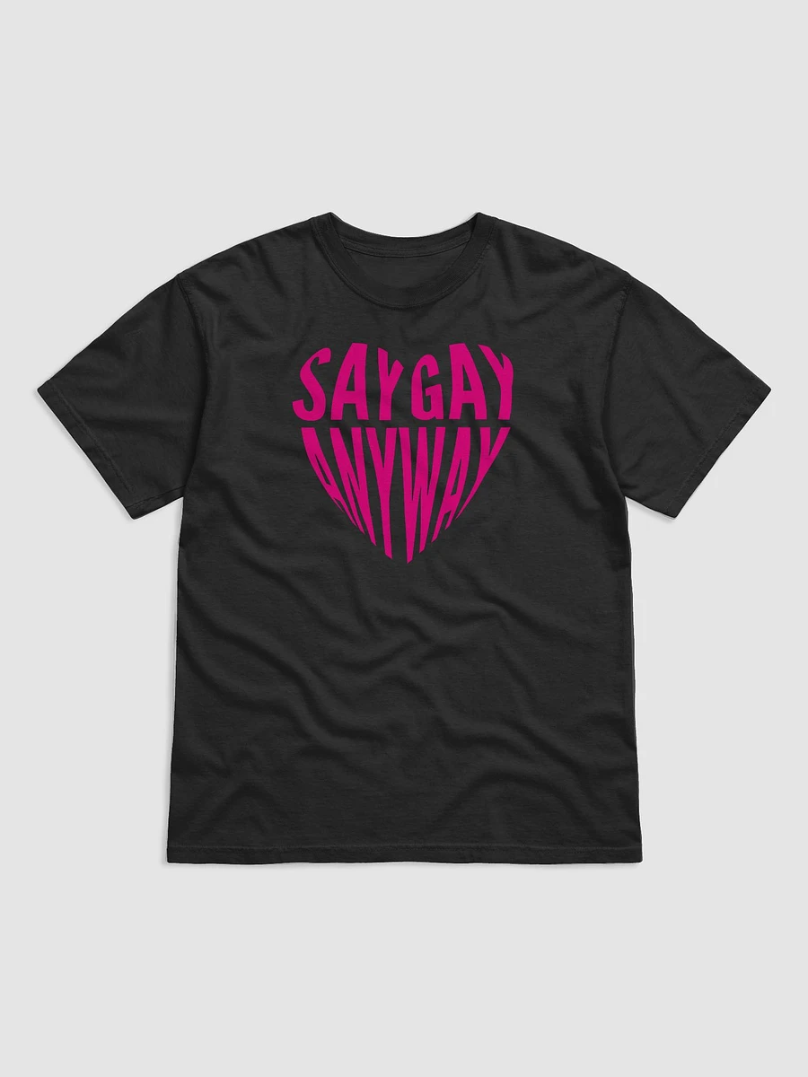 Say Gay Anyway product image (2)