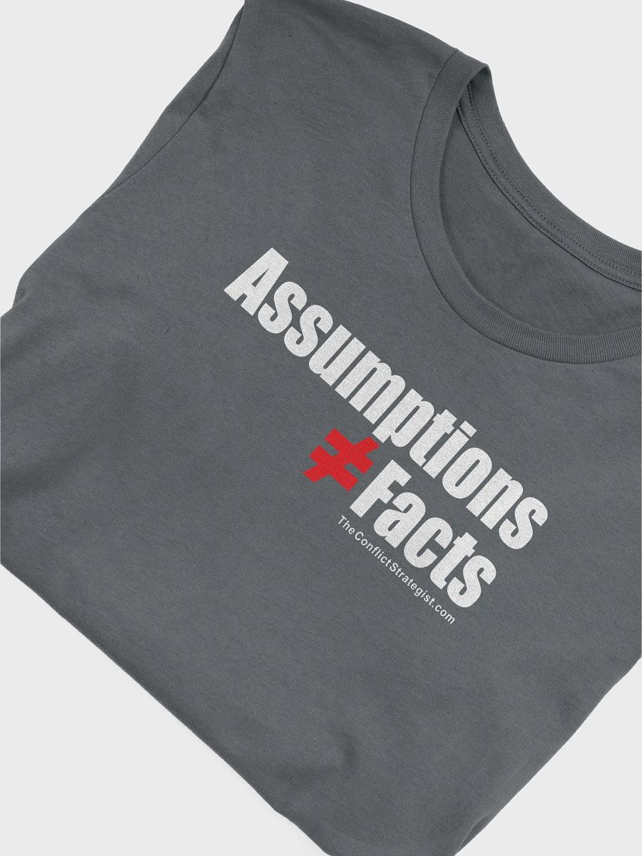 Assumptions / Facts - Unisex T Shirt - 6 Colors product image (3)