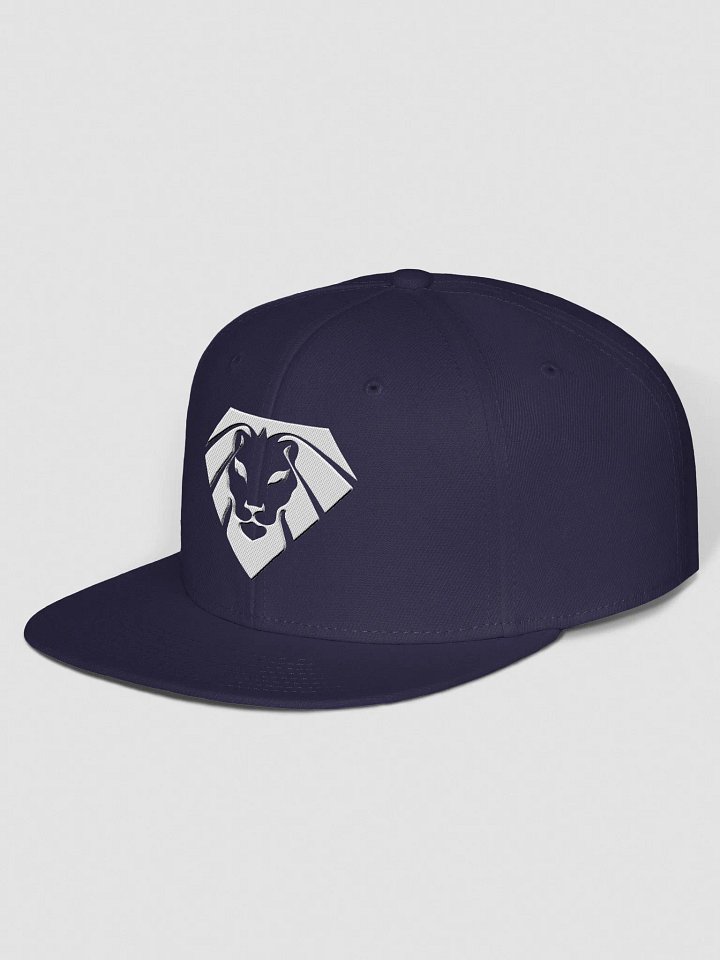VIP Space Lion Snapback product image (28)