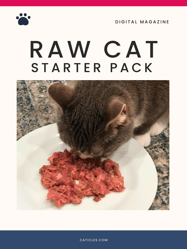 Raw Cat Starter Pack Digital Magazine ~ Simple Raw Feeding Cats PDF Guide with 2 DIY Raw Recipes for Beginners product image (1)