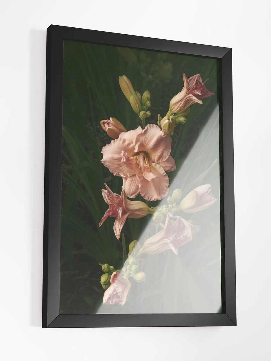 Cascade of Blush product image (2)
