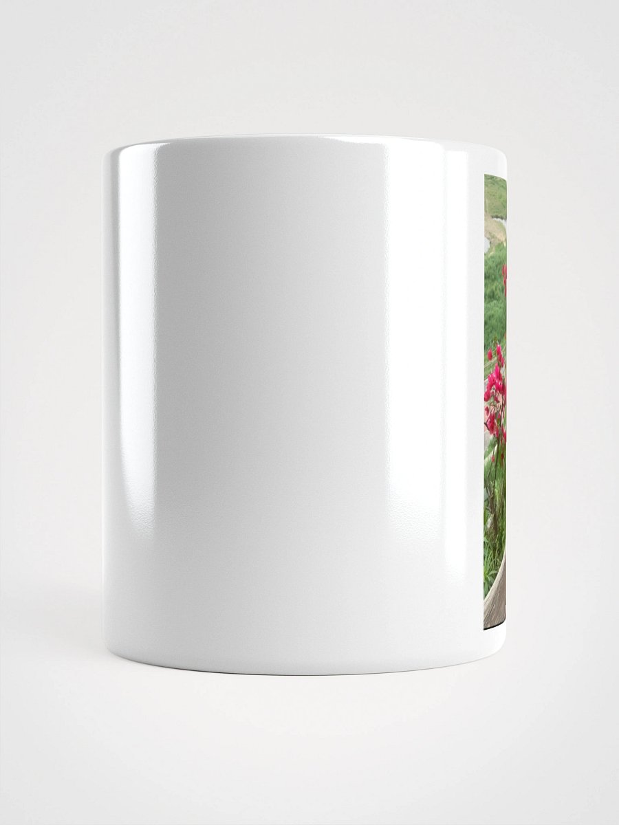 White Glossy Mug: at park product image (15)