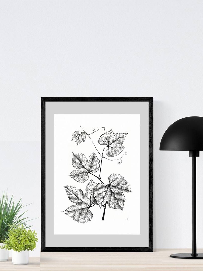 Enchanted Vine: Premium Matte Poster - Grape Leaves product image (9)