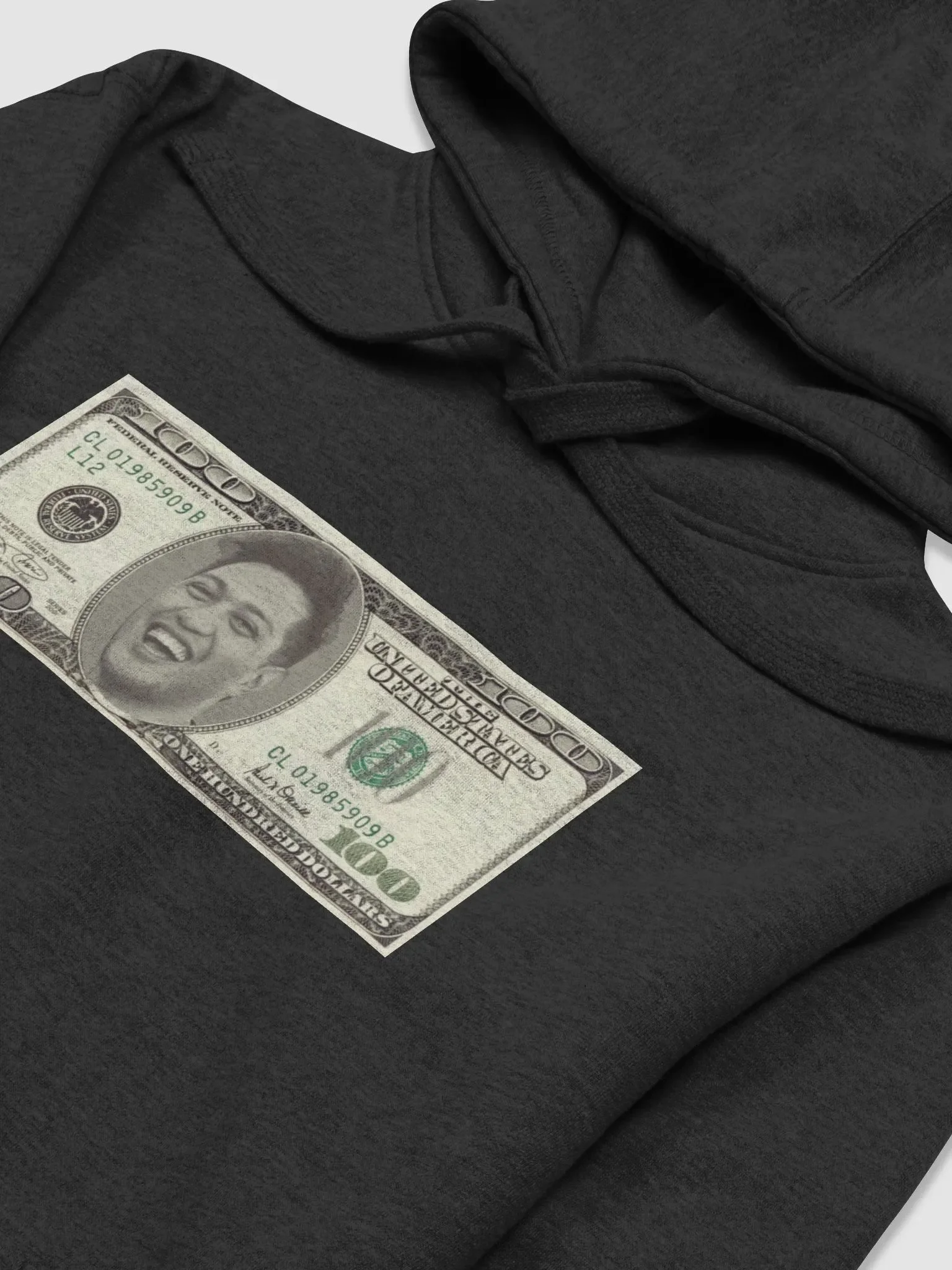 Sean $100 Bill Premium Hoodie product image (3)