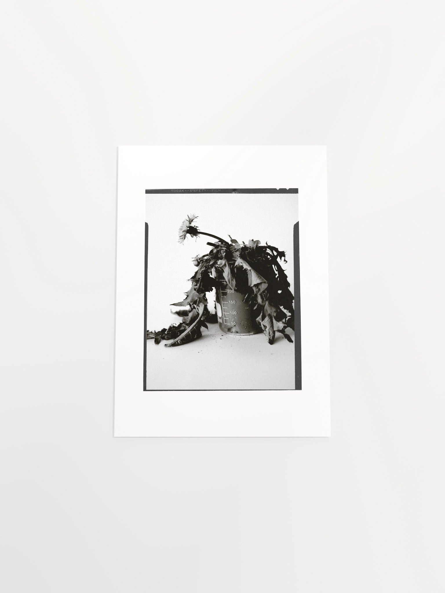 James C'Avedon Print • "Mud Portrait #1" product image (32)