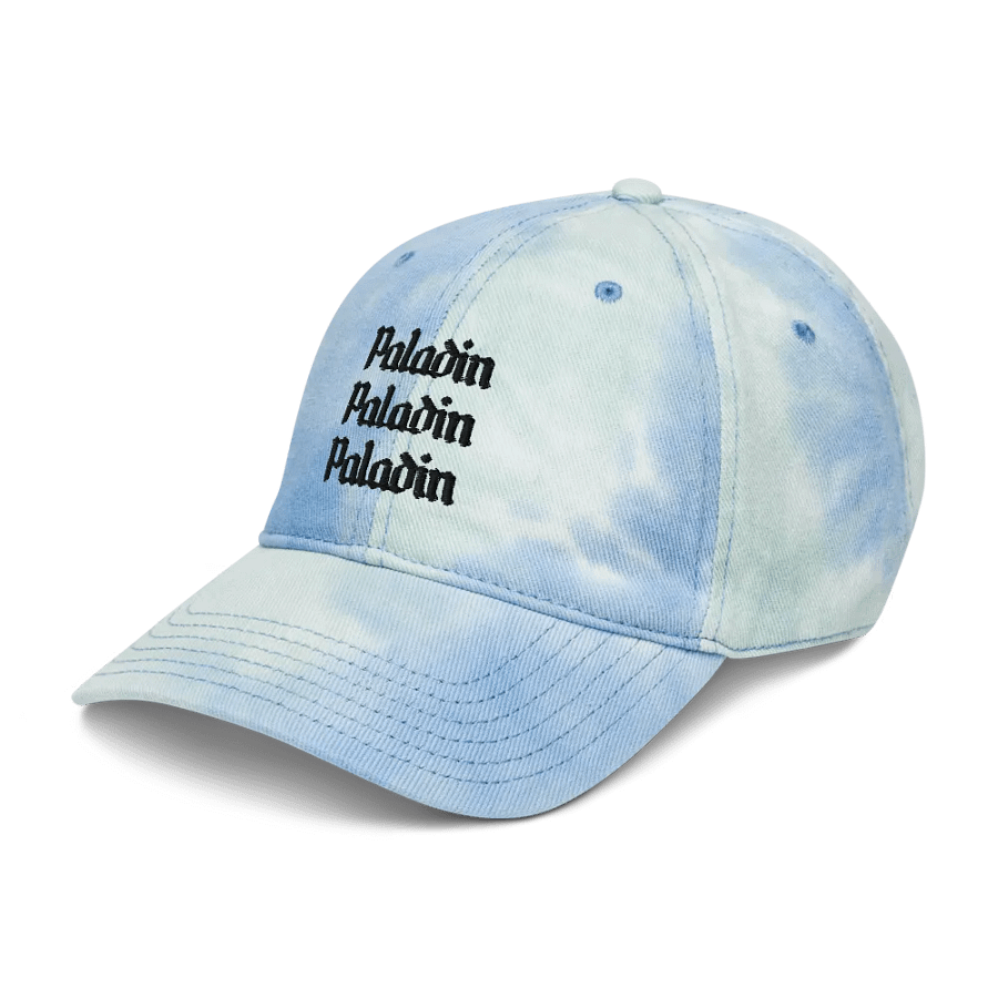Paladin Dad Cap product image (10)
