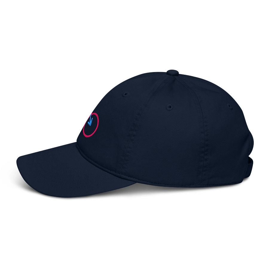 Organic Traditional Gender Connection Dad Hat product image (3)