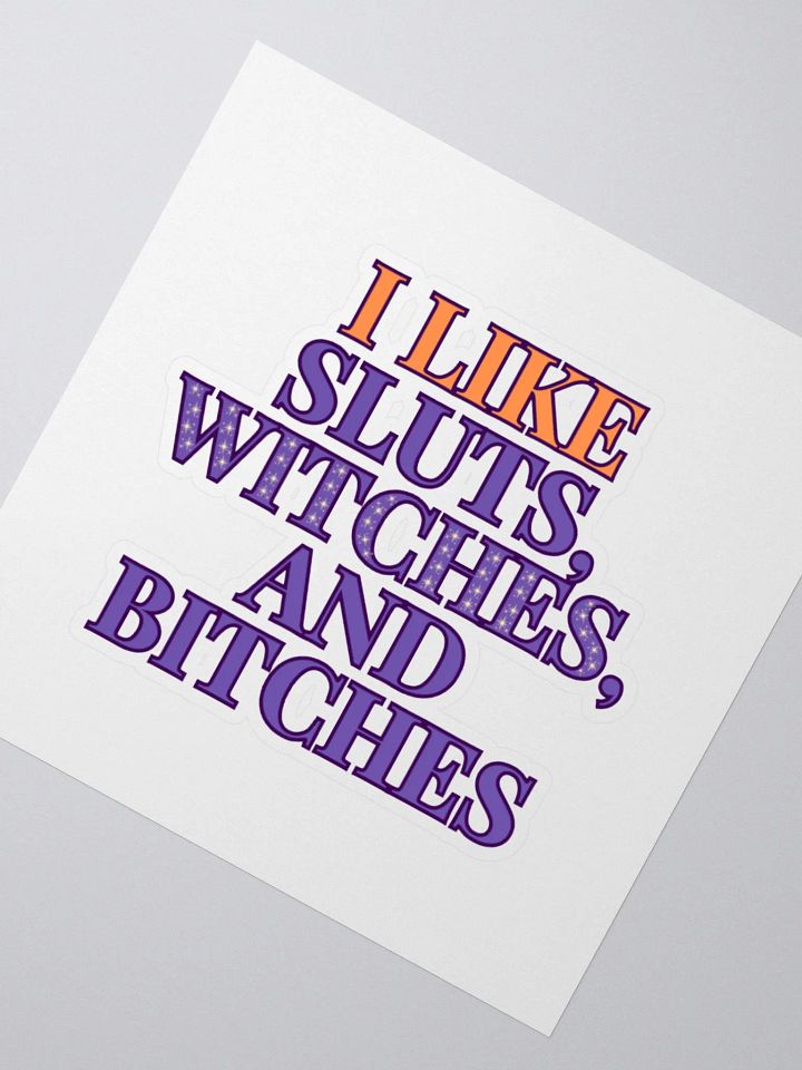 Sluts, Witches, Bitches Sticker product image (2)