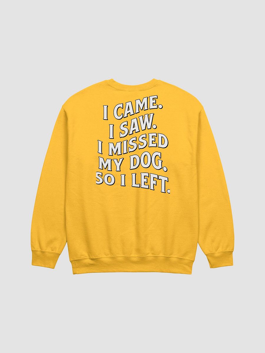 I Came, I Saw, I Missed My Dog, So I Left | Funny Introverted Sweatshirt for Dog Moms product image (14)