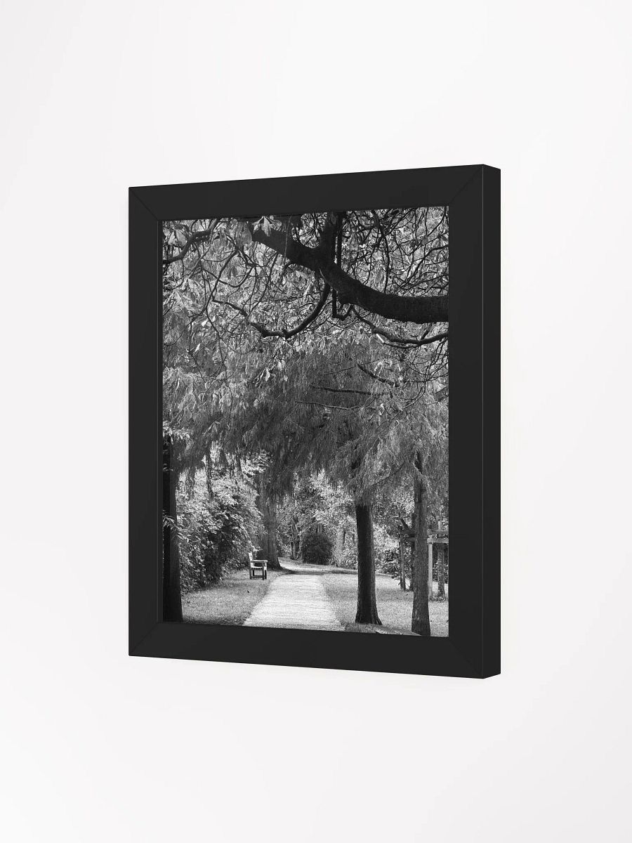 Autumn Walk product image (32)