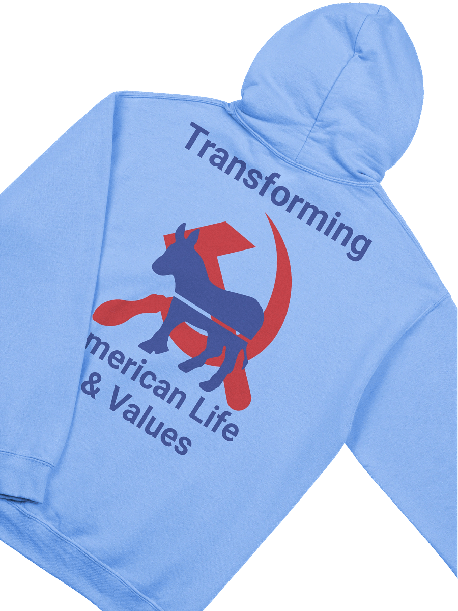 Transforming American Life hoodie product image (1)