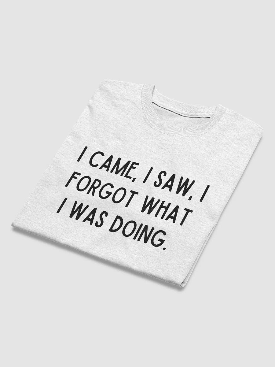 I CAME I SAW TEE product image (4)