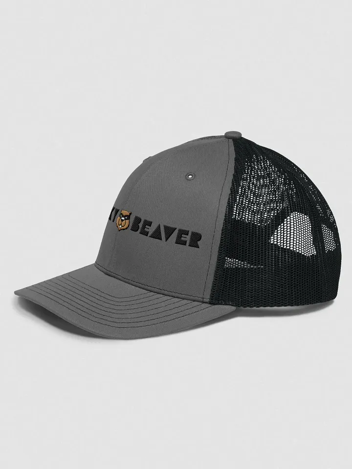 Sneaky Trucker embroidered cap product image (9)