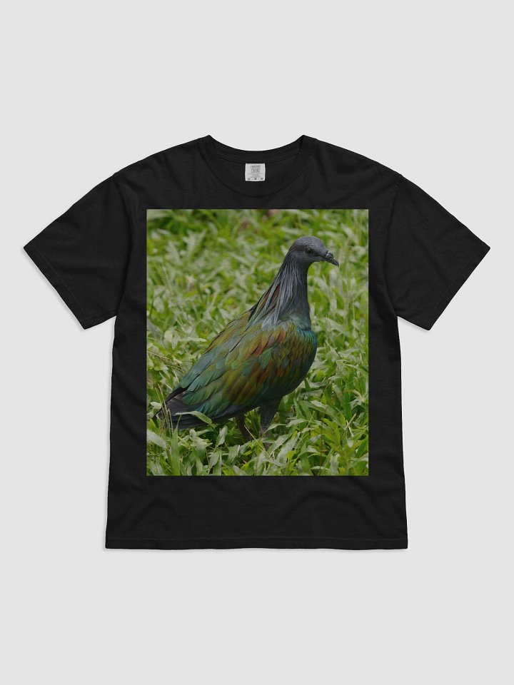 Iridescent Feathers Men's T-Shirt product image (1)