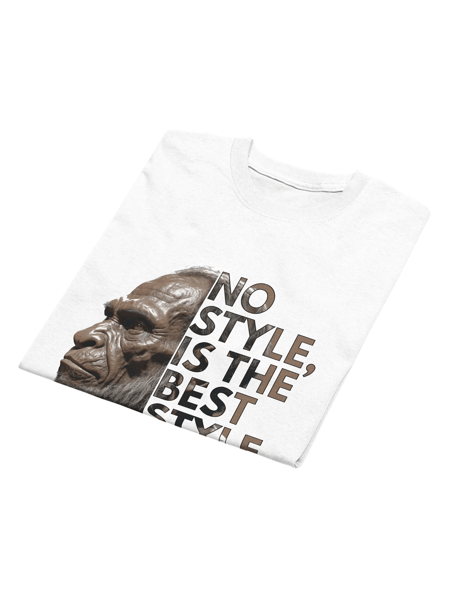 No Style Vibes T-Shirt product image (31)