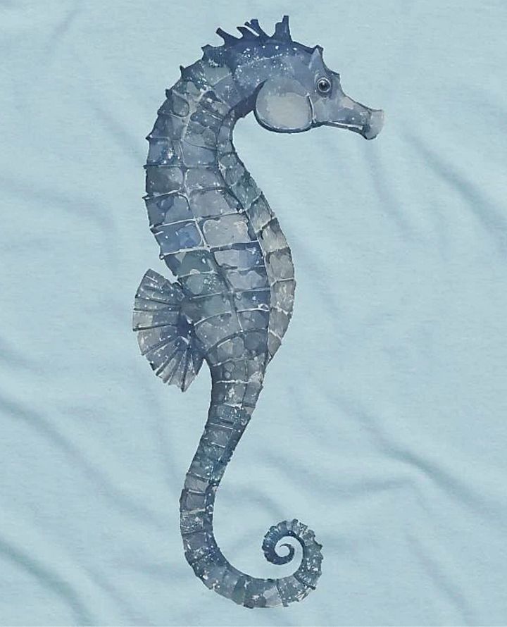 Aquatic Steed product image (6)