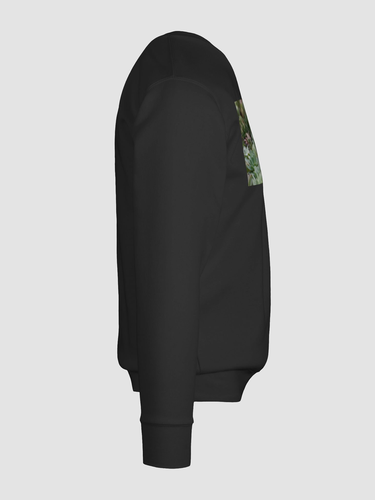 Succulent Serenity Premium Sweatshirt product image (12)