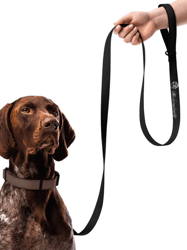 N.U.E. Signature Pet Leash product image (1)