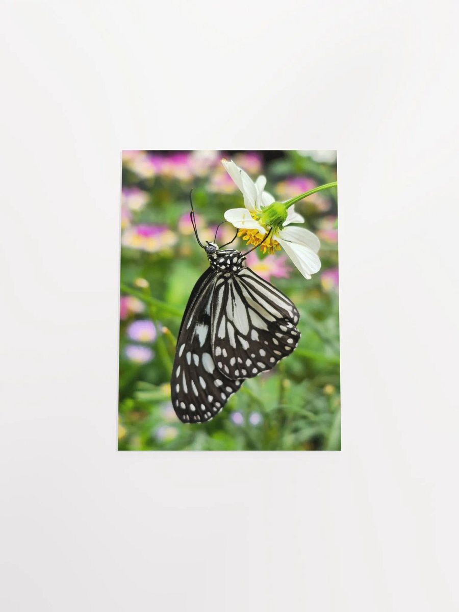 Tropical Paper Kite Butterfly Matte Poster #2 5x7" product image (4)