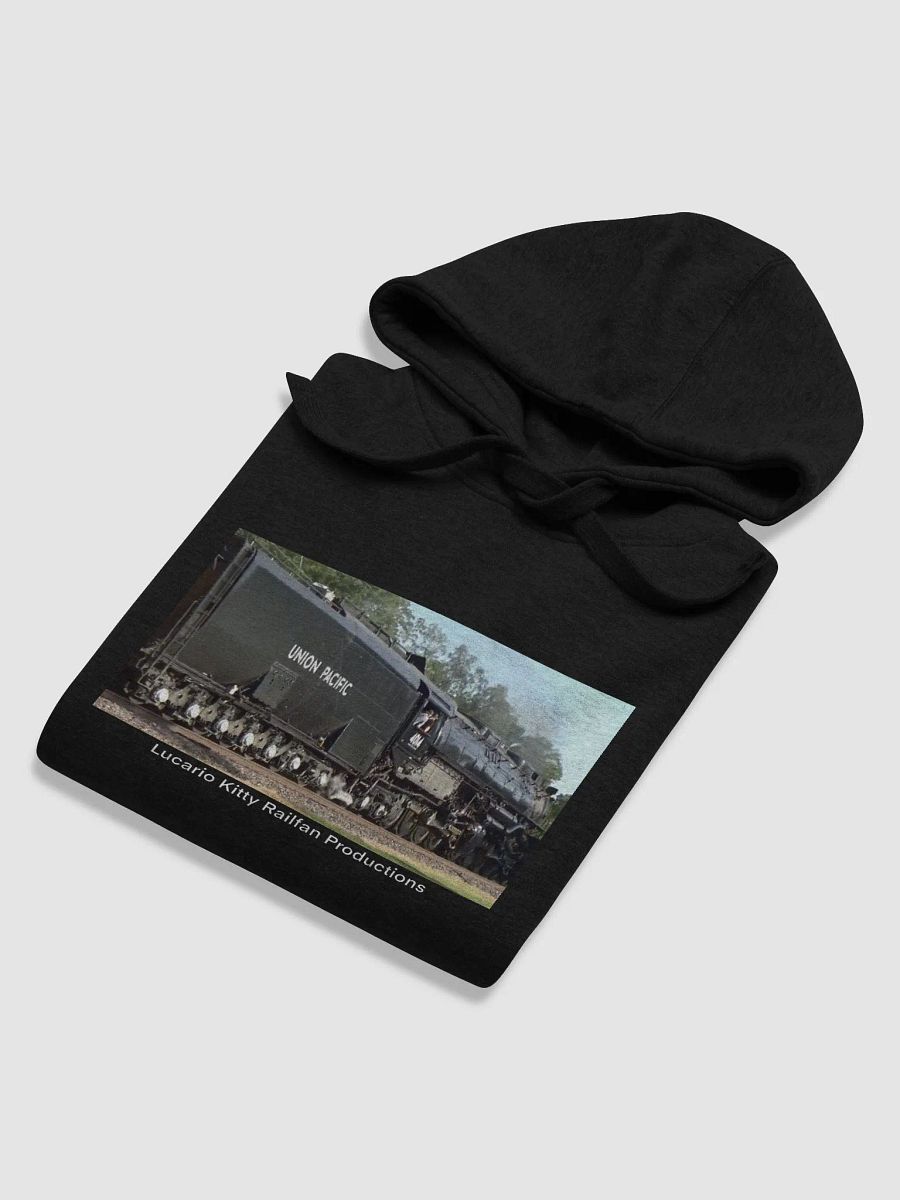 Big Boy 4014 Tender Hoodie product image (6)