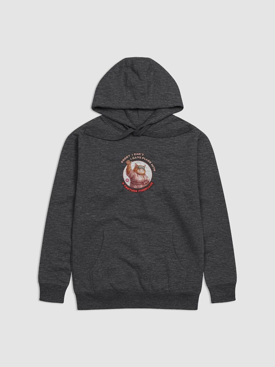 Cozy Cat - Sorry, I can't. I Have Plans With a YouTube Fireplace | Hoodie product image (1)