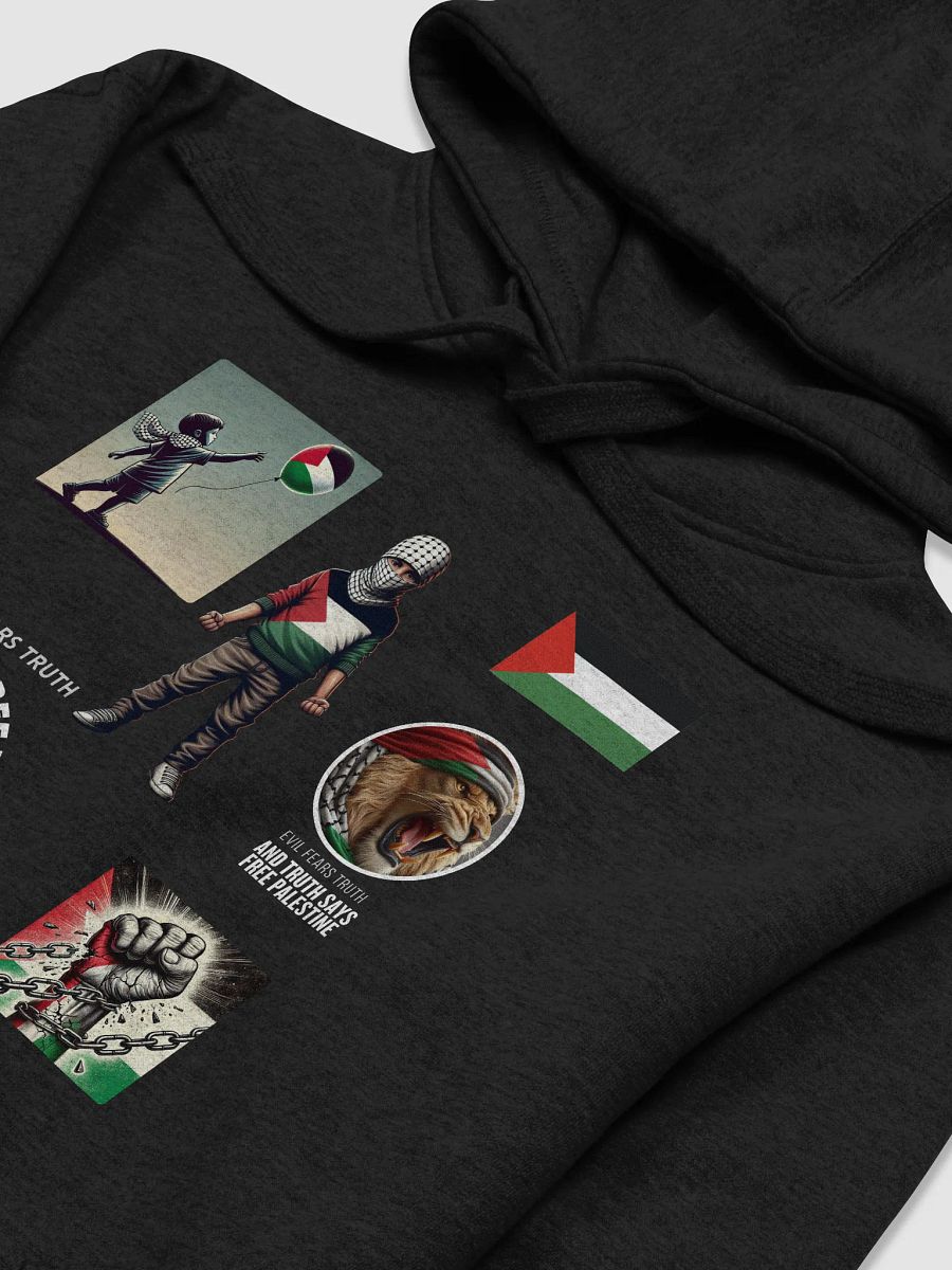 Free Palestine Unisex Premium Hoodie | Palestine will never die product image (4)