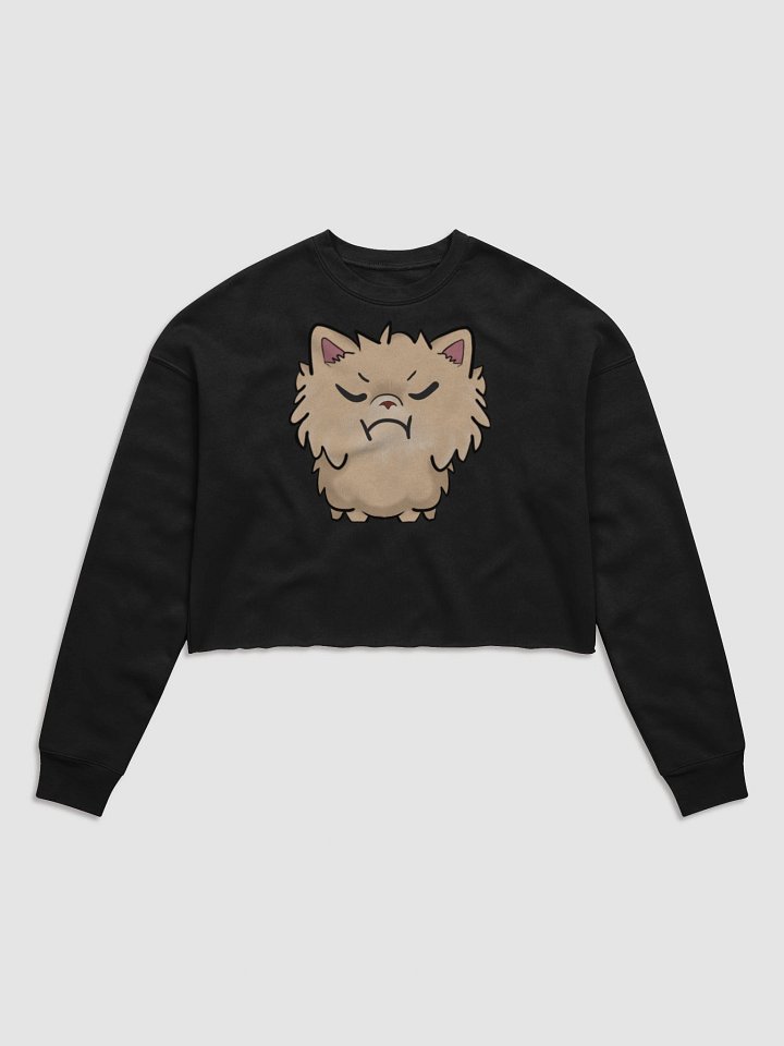 Sassy product image (1)
