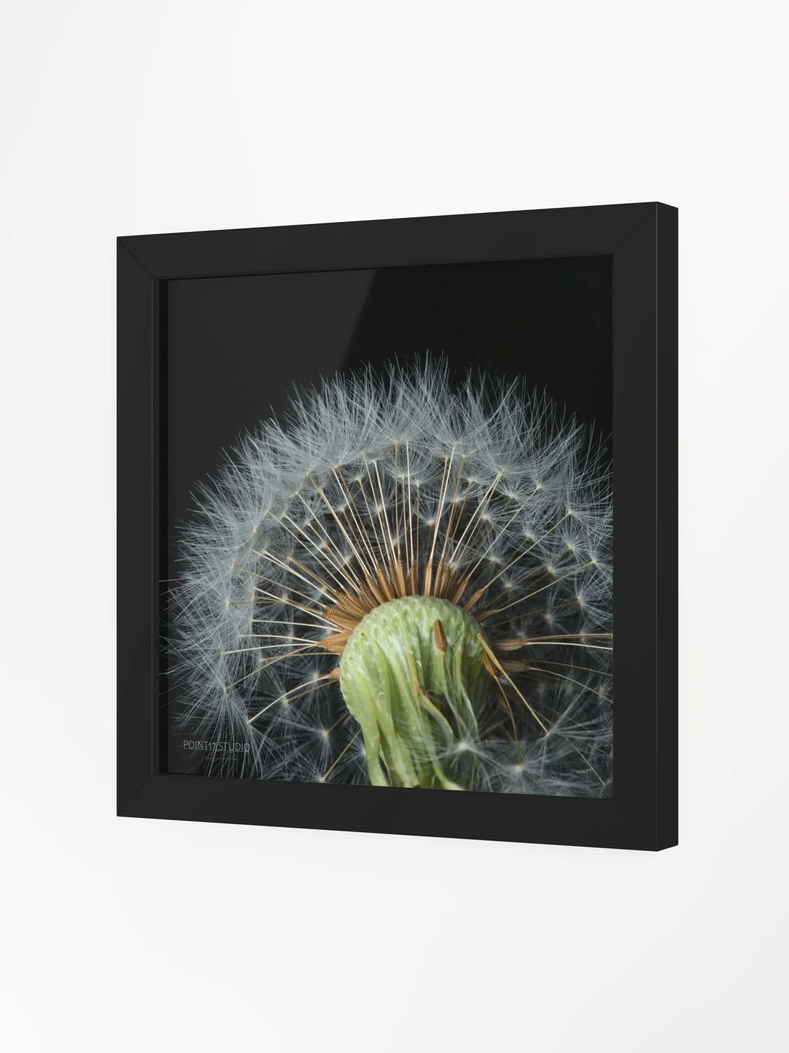 Dandelion #4 - Framed Print product image (2)