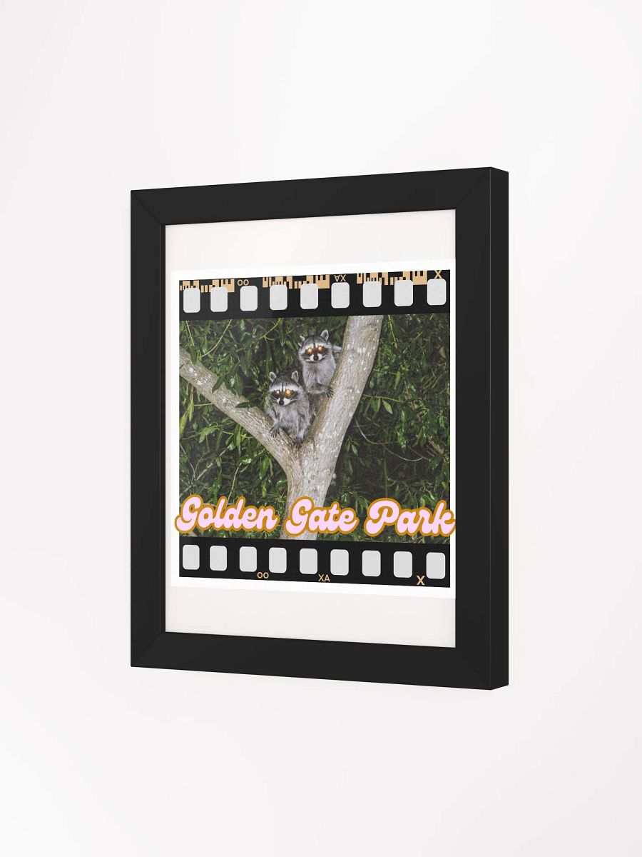Golden Gate Park Raccoons Framed Poster Print product image (3)