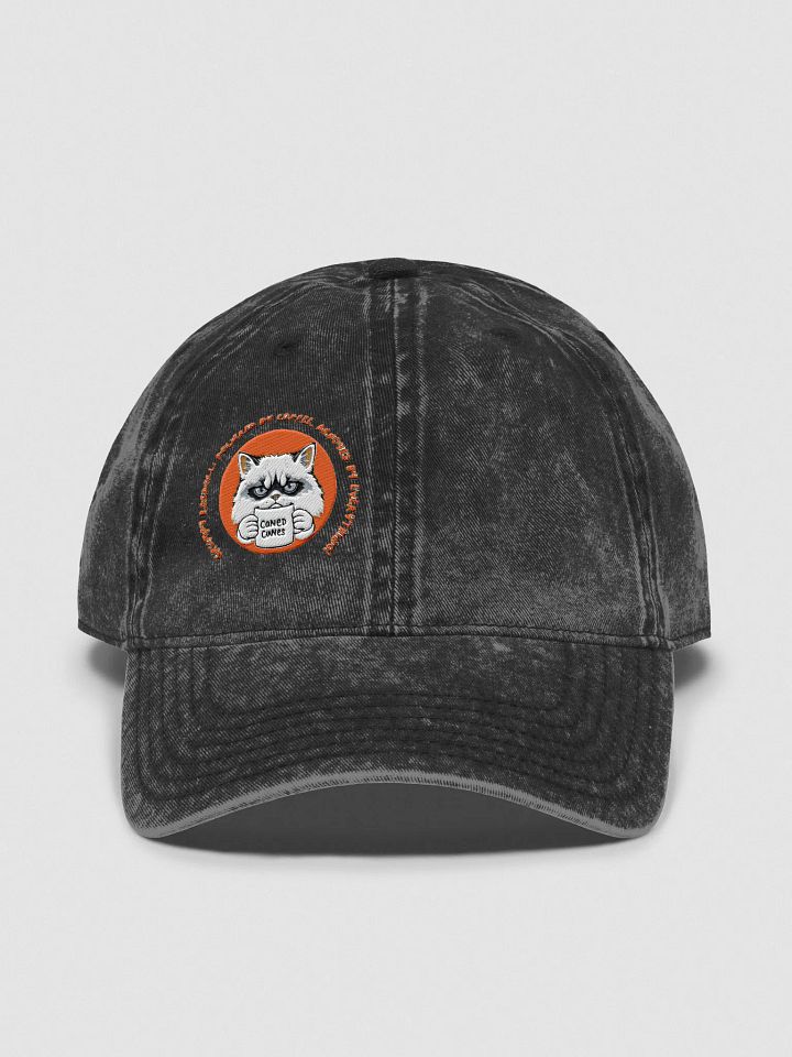 Ragdoll Coffee Dad Hat product image (1)