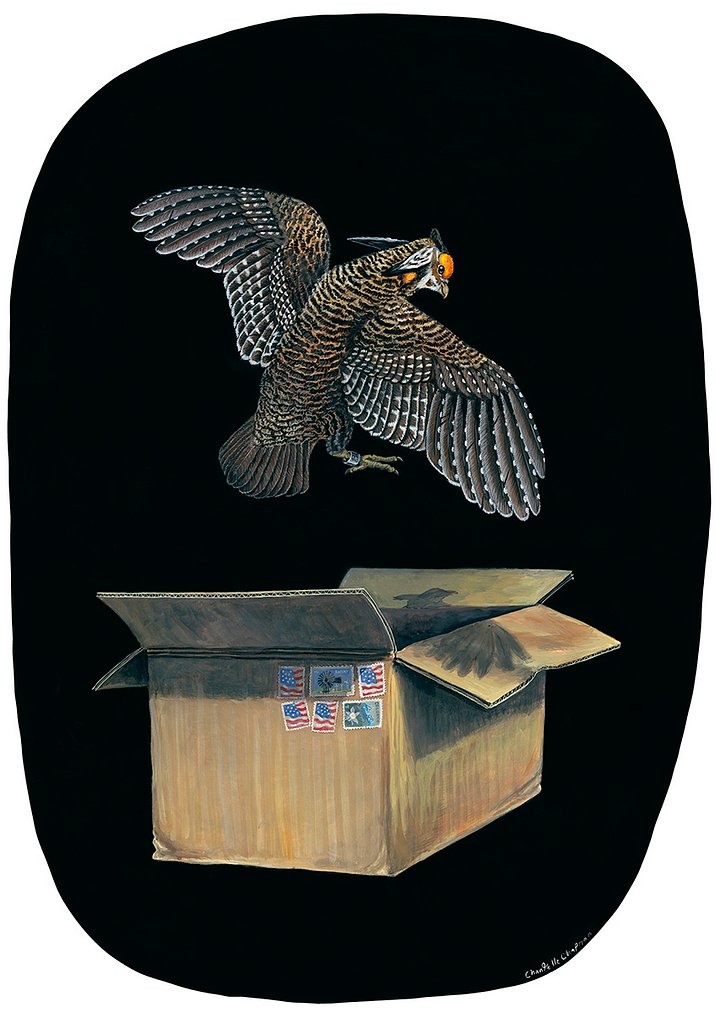 Relocation (Lesser Prairie Chicken) - Art Print product image (1)
