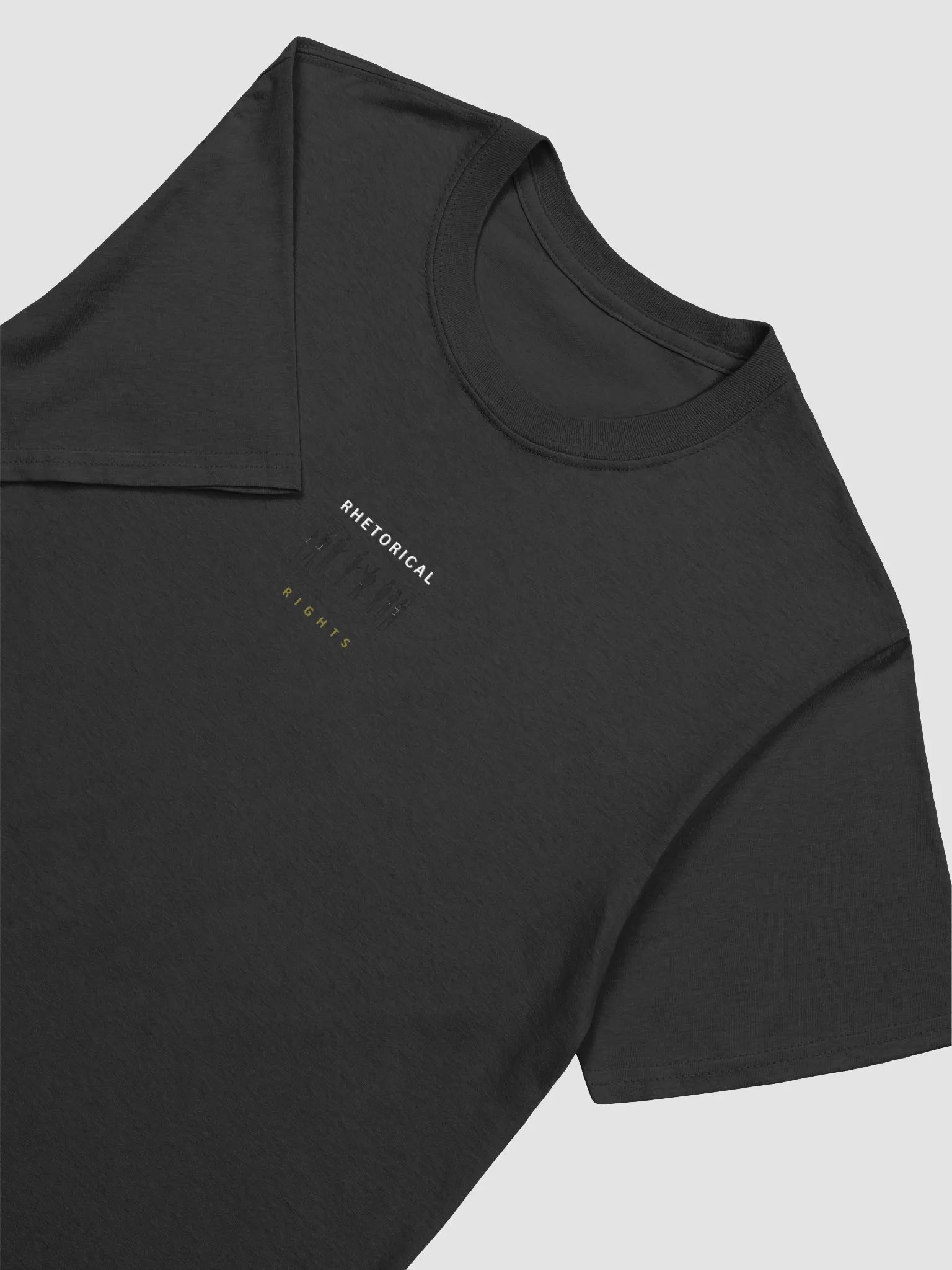 Rhetorical Rights Silhouette T-Shirt product image (3)